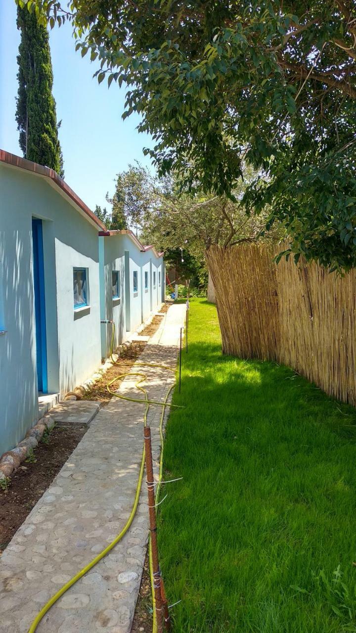 Glamping Rooms At The Sea Turtle Dhërmi Extérieur photo